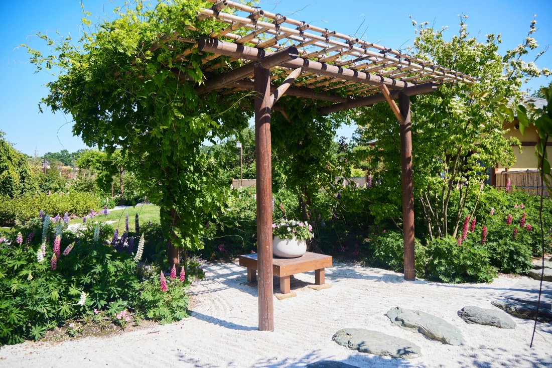 Quelles plantes choisir pour une pergola végétalisée ?
